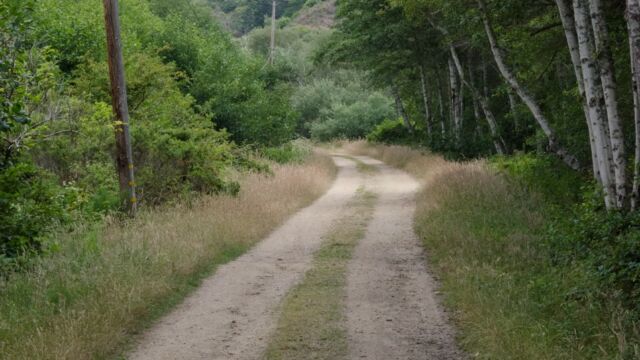 Start of the Muddy Hollow trail