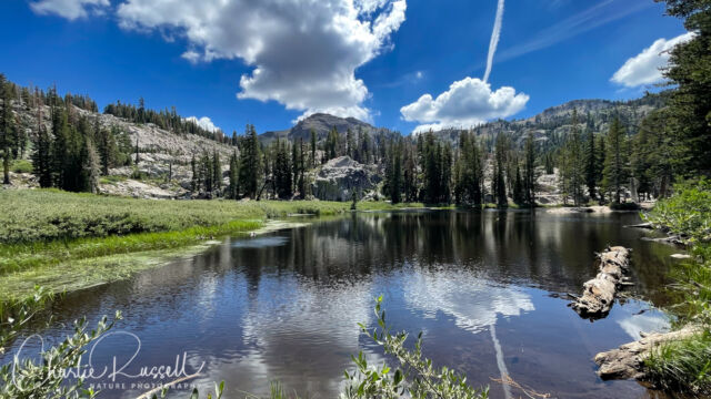 Shirley Lake, almost to the top Over the crest and a bit of a descent, the trail leads to Shirley Lake. The trails continue up, to the left