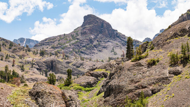 Looking up the trail