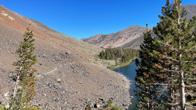 Looking back to Blue Lake from the hillside seep Virginia Lakes Wildflowers; Looking back to Blue Lake from the hillside seep
