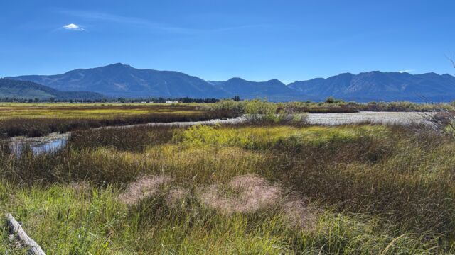 Upper Truckee Marsh